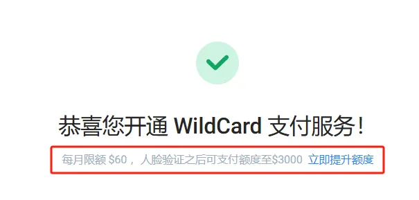 Wildcard虚拟信用卡评测：为中国用户量身打造的海外支付创新解决方案